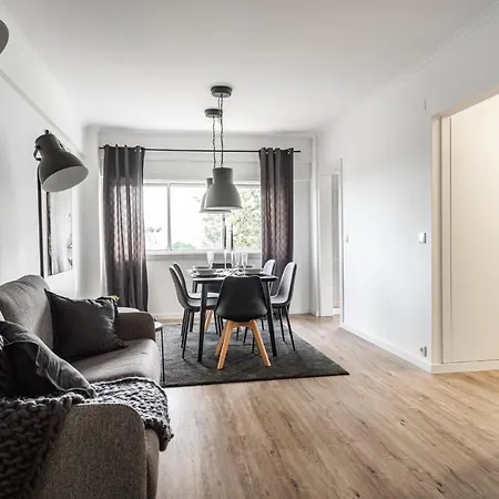 Akicity Penha Ebony